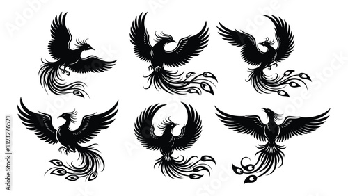 Graceful phoenix silhouettes in flight Vector