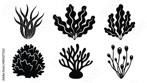 Collection of seaweed silhouettes Vector