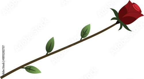 Single red rose bud on long stem with green leaves
