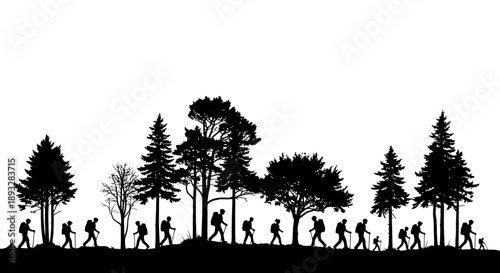 Silhouettes of hikers walking through a forest.
