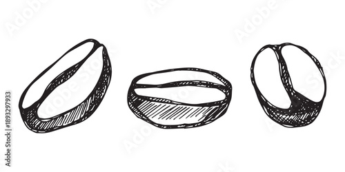 Set of hand drawn fresh roasted coffee bean Arabica robusta seed doodle Single element for design print packaging label decor