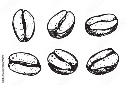 Set of hand drawn fresh roasted coffee bean Arabica robusta seed doodle Single element for design print packaging label decor