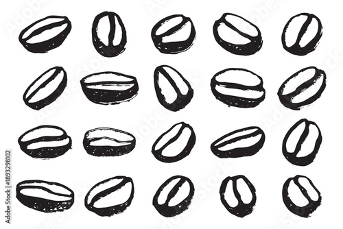 Set of hand drawn fresh roasted coffee bean Arabica robusta seed doodle Single element for design print packaging label decor
