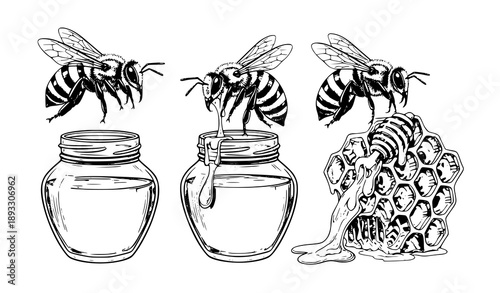 Artistic bee, honey jar, and honeycomb sketch vector collection