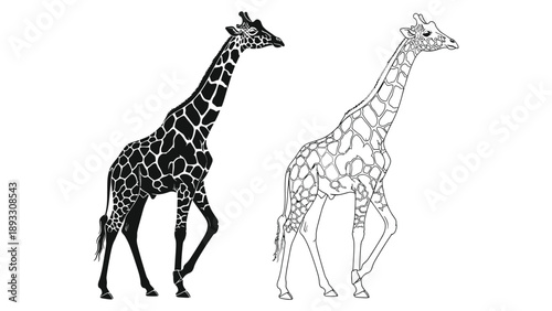 Pair of walking giraffe illustrations showing silhouette and outline styles side by side