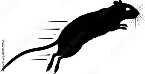 Silhouette Black Mouse Running with Motion Lines on White Background
