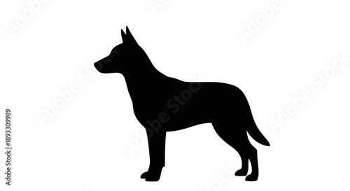 Silhouette of a German Shepherd dog standing alert 2.