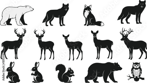Black Silhouettes of Forest Animals Including Deer, Bears, Wolves, Foxes, and Small Mammals in Stylized Arrangement
