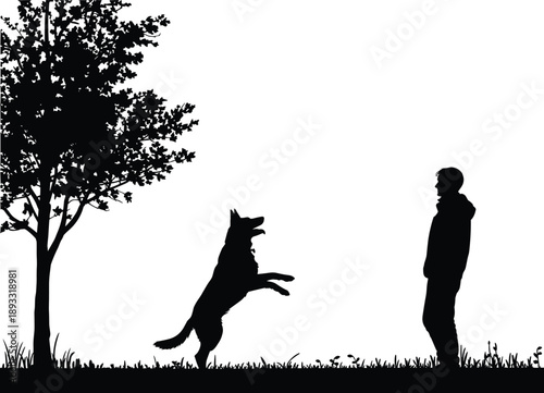 Silhouette of a person and a dog playing fetch in a park with a large tree and grassy field under a bright sky