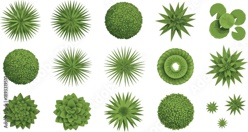Set of green garden plants and shrubs top view icons for landscape design and architectural site planning isolated on grey background