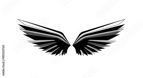 Stylized Black and White Angel Wings Graphic.