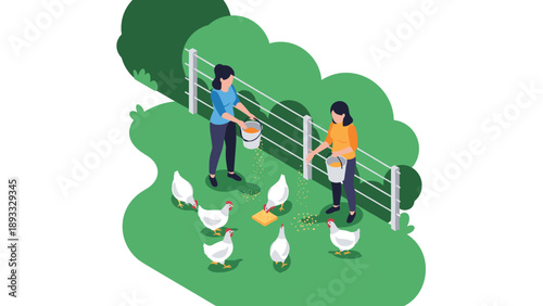 Two women working on a rural farm feeding a flock of white chickens with organic grain in a green grassy outdoor enclosure with fencing.