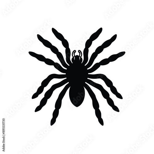 Realistic, detailed illustration of a tarantula spider, showcasing its hairy texture and imposing presence.