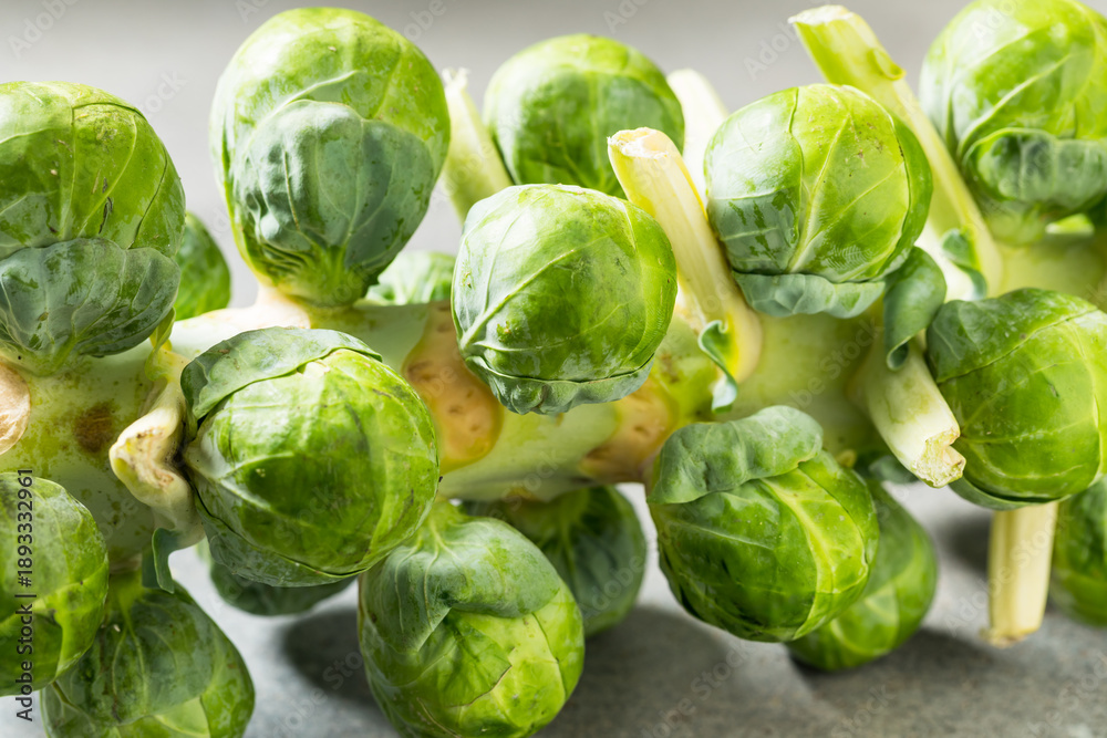 Fototapeta premium Organic Healthy Raw Brussel Sprout Stalk