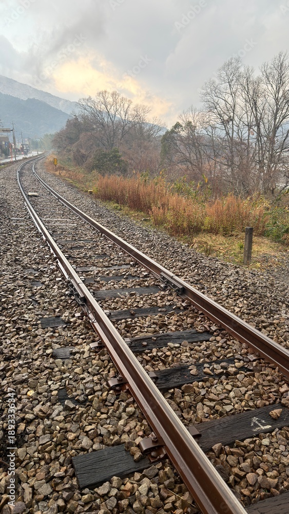 Obraz premium Railway Track with Mountain Landscape and Power Lines