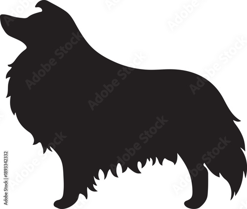 Print Long-Haired Collie or Shetland Sheepdog Silhouette Illustration