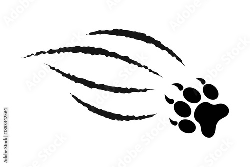 Pawprint with scratch claw trail. Wild animal talons track print isolated on white background. Skin scars from attack of wolf or panther, leopard or jaguar. Vector graphic illustration.