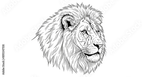 Majestic Animal Portrait, Artistic Design, Black and White, Graphic Visualization