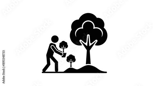 Person planting a small tree next to a larger tree.