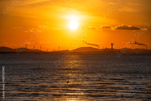 Tranquil scene with seagull flying at sunset