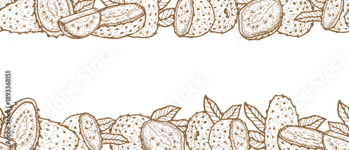 Soursop fruit frame in vintage linear style. Guanabana tropical fruit background outline. Hand drawn vector illustration isolated on white.