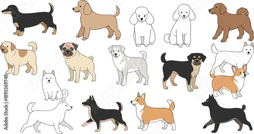 Cute dog breed character collection with various poses and friendly cartoon pet dogs vector illustration