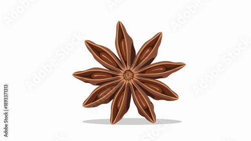 A single star anise spice with brown petals is centered on a white background