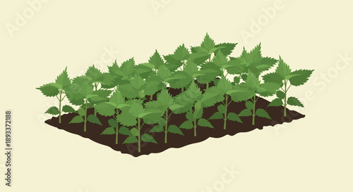 A stylized illustration of green plants growing in dark soil