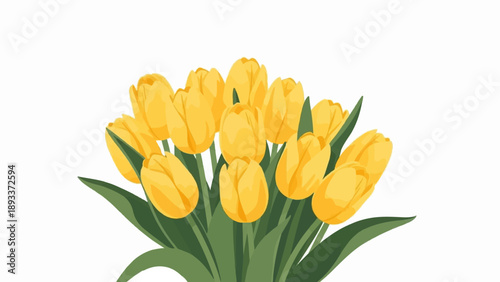 A vibrant bouquet of bright yellow tulips with green leaves on a white background