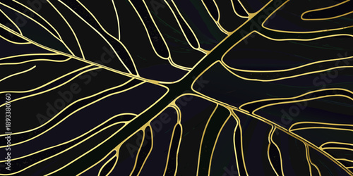 Golden monstera leaf veins against a dark textured background