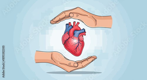 Hands cradling a red heart with blue veins on light blue background