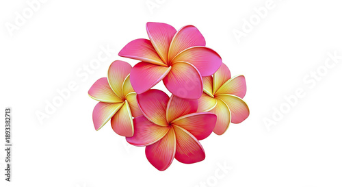 Cluster of Red and Yellow Plumeria Flowers