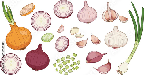 Onion and garlic vegetable collection with whole, sliced and chopped kitchen food elements vector illustration