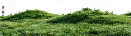 Rolling green hills of grass