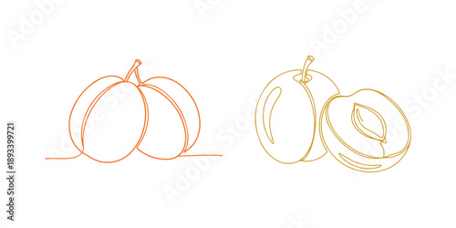 A doodle-style graphic showing two plums sliced in a single line, perfect for any design.

