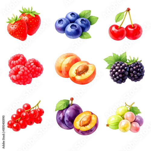 Hand-Painted Berry and Stone Fruit Illustration Set