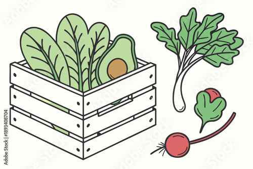Fresh organic vegetables in wooden crate - spinach, beetroot, and radish