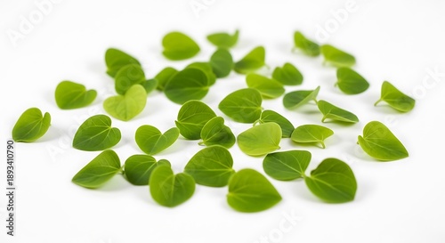 A collection of small green leaf like gemstones or jade stones