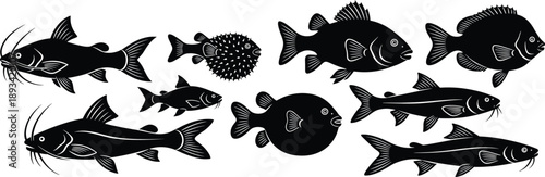 Fish silhouette vector set. Black freshwater and marine fish shapes in different styles. Minimal aquatic animal illustration collection isolated on white background.