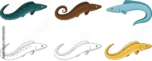 Eel fish cartoon vector set in different colors and styles. Cute freshwater and sea eel illustration pack. Flat, outline and hand drawn aquatic animals collection.