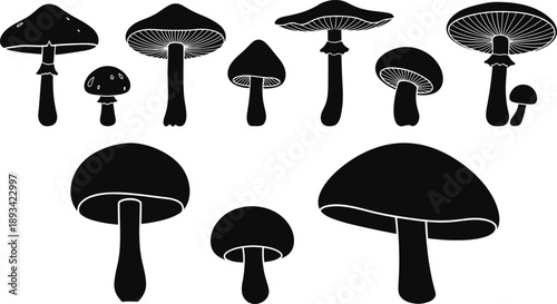 Mushroom silhouette set collection black fungi icons edible wild toadstool forest nature botanical vector illustration isolated white background design elements clipart graphic bundle pack