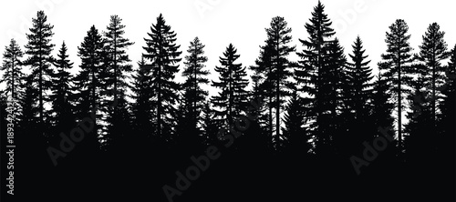 Black silhouette of pine forest trees isolated on white background for panoramic landscape design evergreen spruce wood nature wallpaper and wilderness vector art