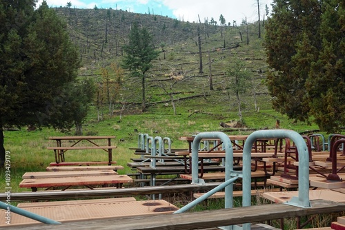 Fotografija Stack of picnic tables, kept safe away from the fire's range, next to a hill wit