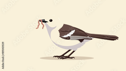 Bird with a worm in its beak on a plain background