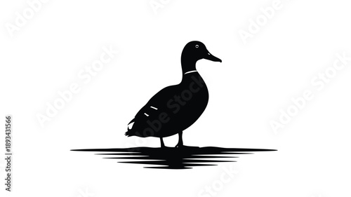 a simple black duck silhouette illustration against a white background
