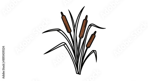 Illustration of Cattails with Brown Flowers.