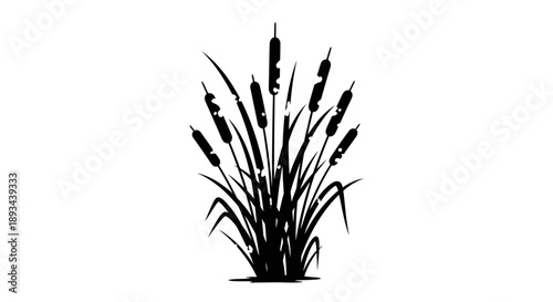 Cattails Silhouette Illustration on White Background.