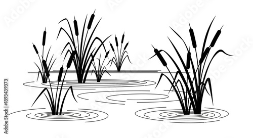 Cattails Growing in Wetland Illustration.