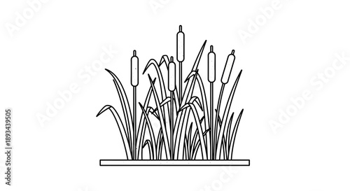 Cattails Illustration Simple Line Art Style.