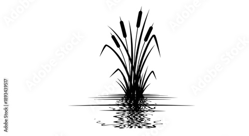 Cattail Plant Illustration with Reflection in Water.